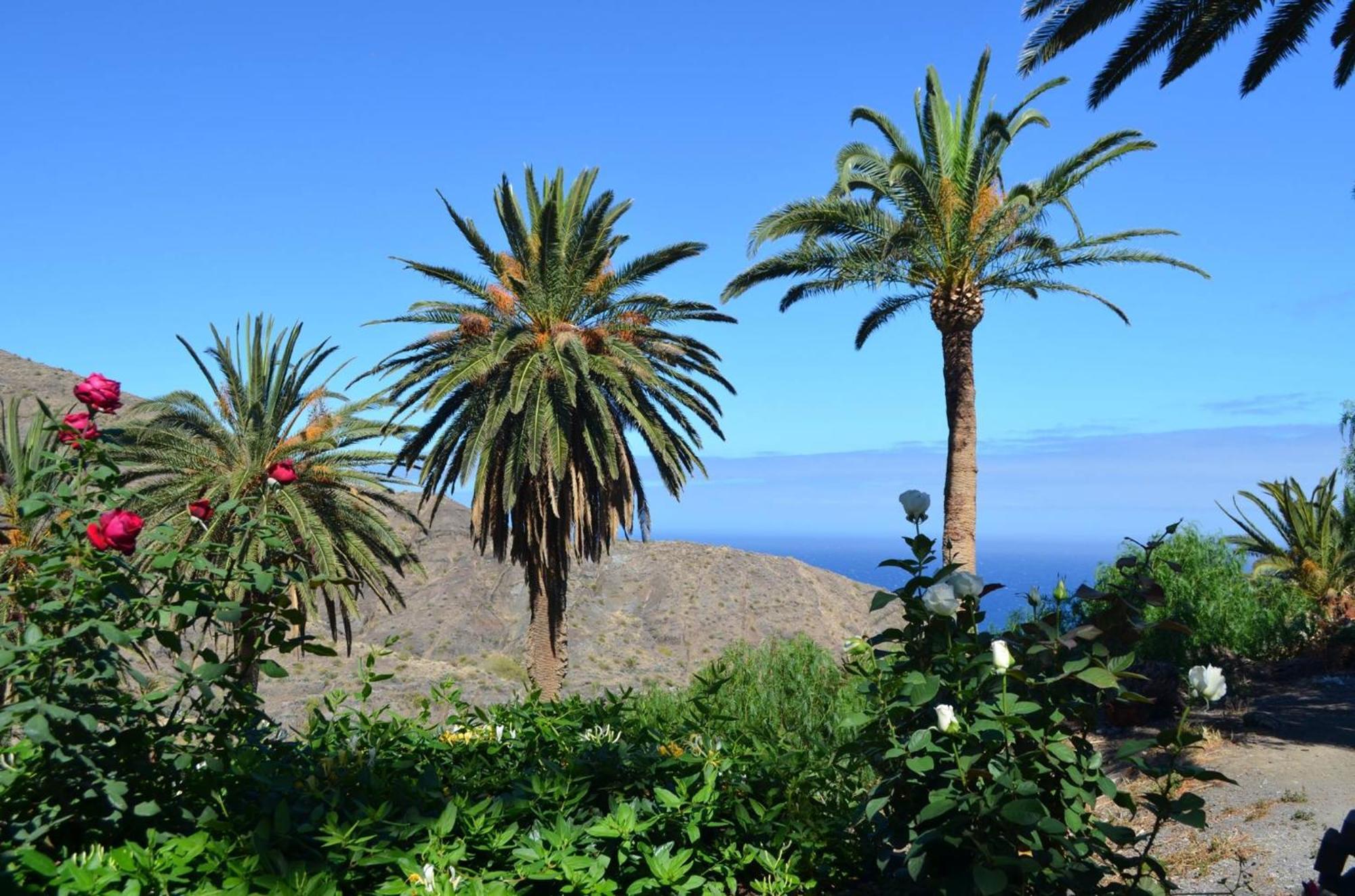 Finca Ossorio Casa Rita Vallehermoso Εξωτερικό φωτογραφία